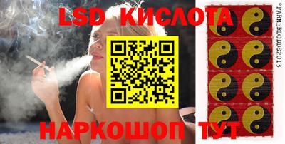индика Лесосибирск