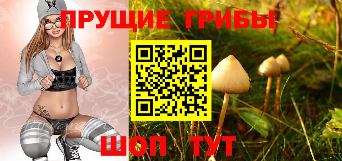 Галлюциногенные грибы ЛСД Ефремов