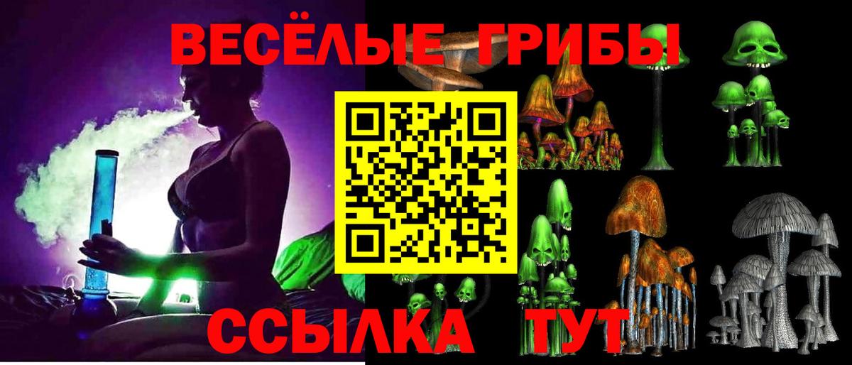 Ефремов  Галлюциногенные грибы MAGIC MUSHROOMS  Вход с VPN 